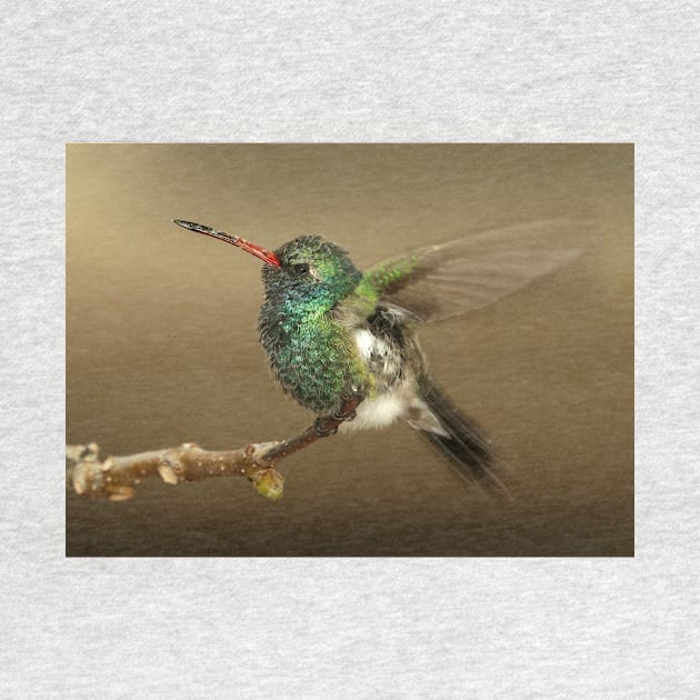 Hummingbird by kawaii_shop